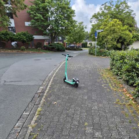 Open311 file from 2025-09-05 10:55:00