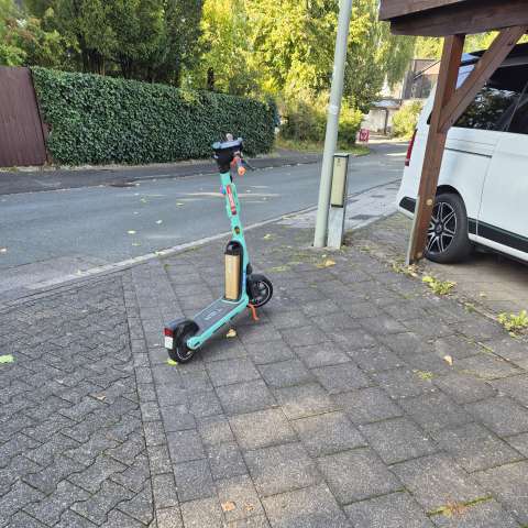 Open311 file from 2025-10-01 15:49:25