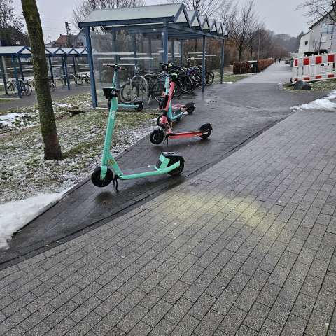 Open311 file from 2026-02-18 10:28:25