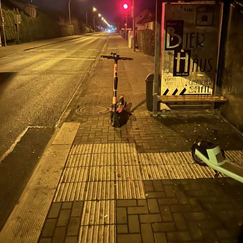 Open311 file from 2026-02-10 07:15:09