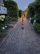 Open311 file from 2025-08-28 06:27:46