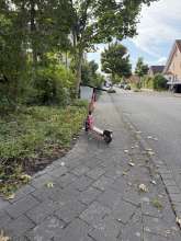 Open311 file from 2025-09-14 17:40:47