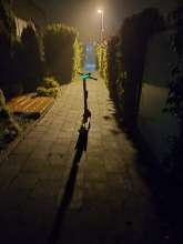Open311 file from 2025-10-07 06:27:12