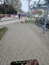 Open311 file from 2026-03-20 07:54:24