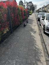 Open311 file from 2026-01-16 10:40:03