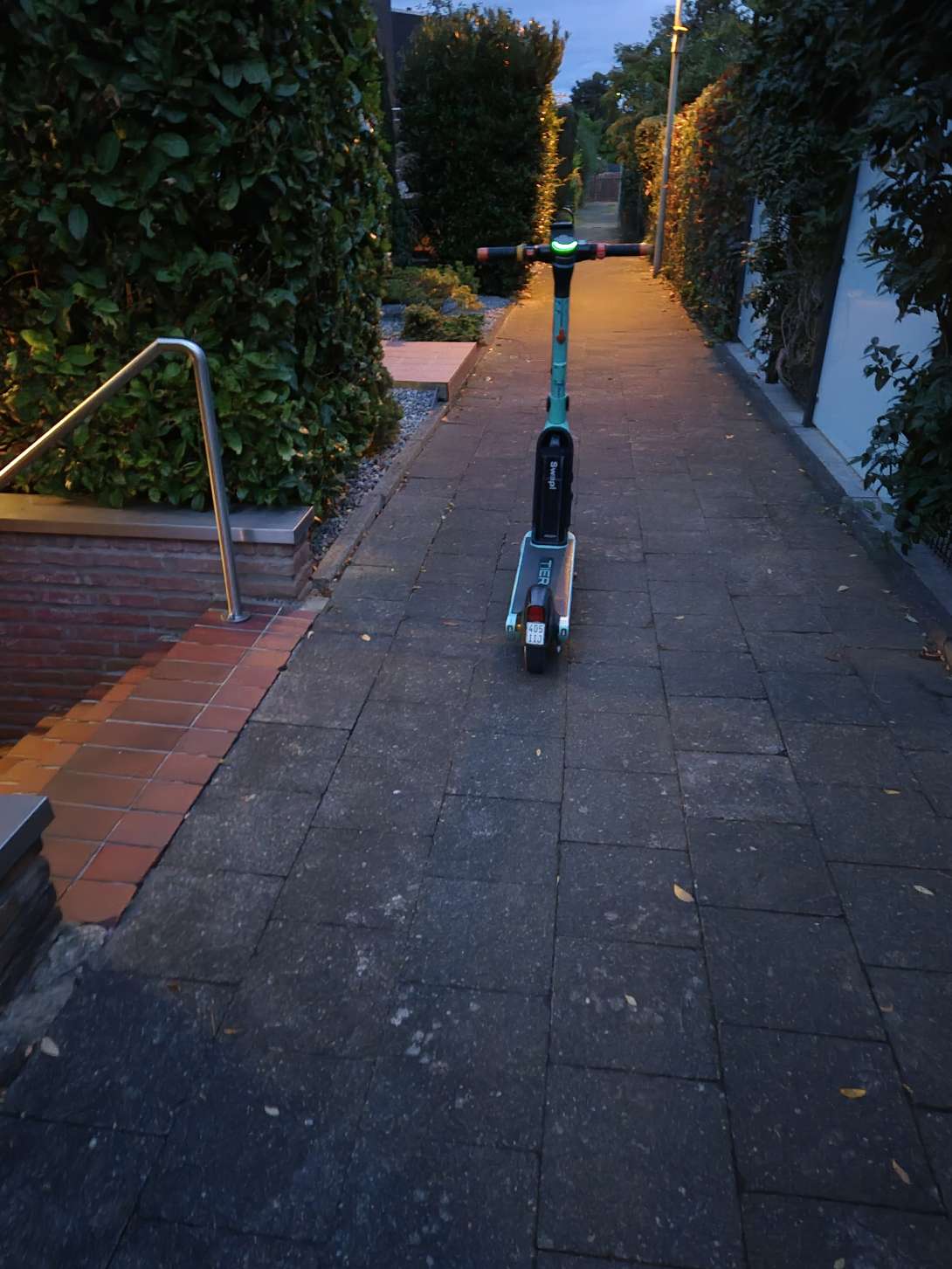 Open311 file from 2025-09-02 07:11:30