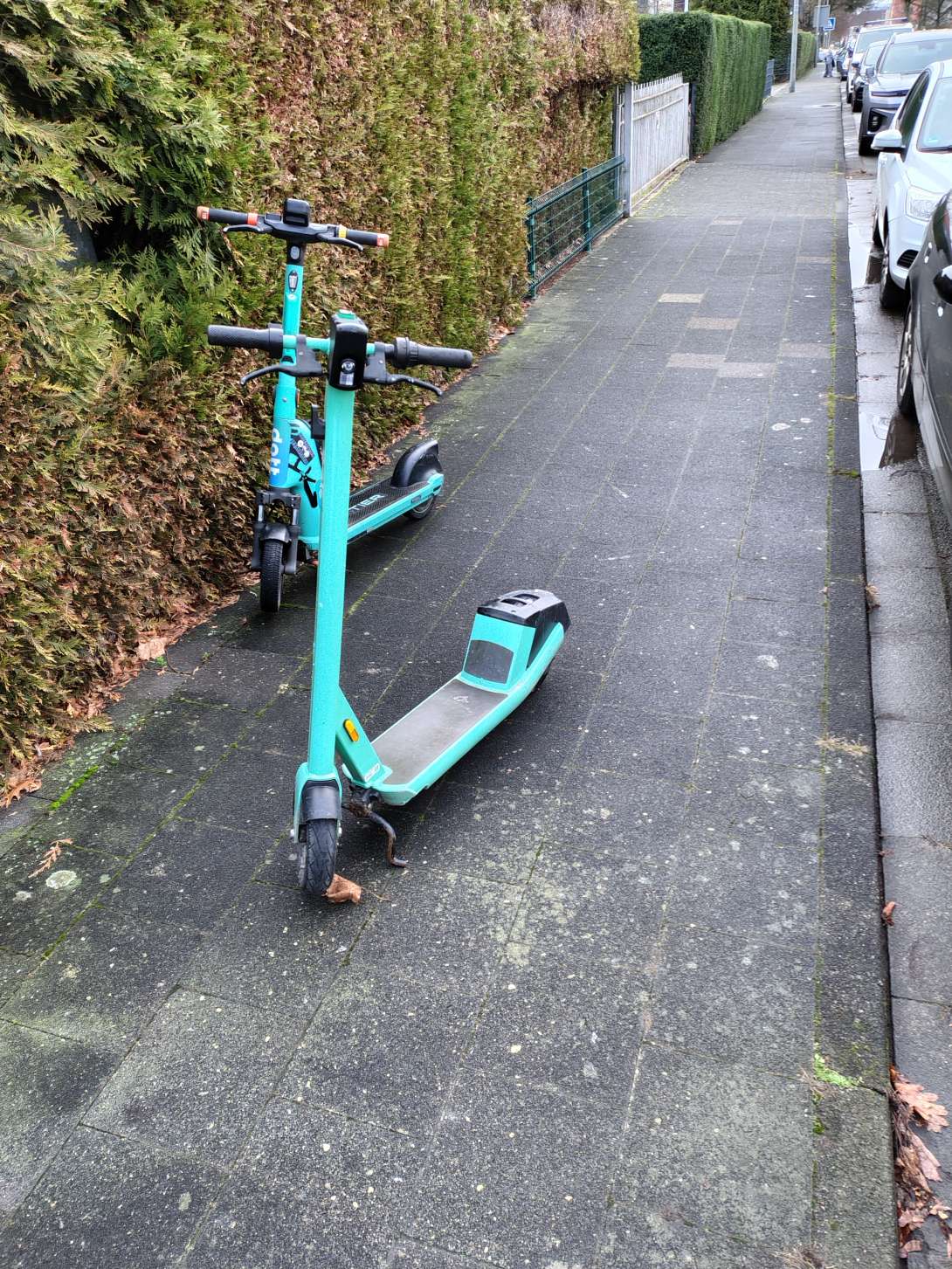 Open311 file from 2025-12-08 06:33:12