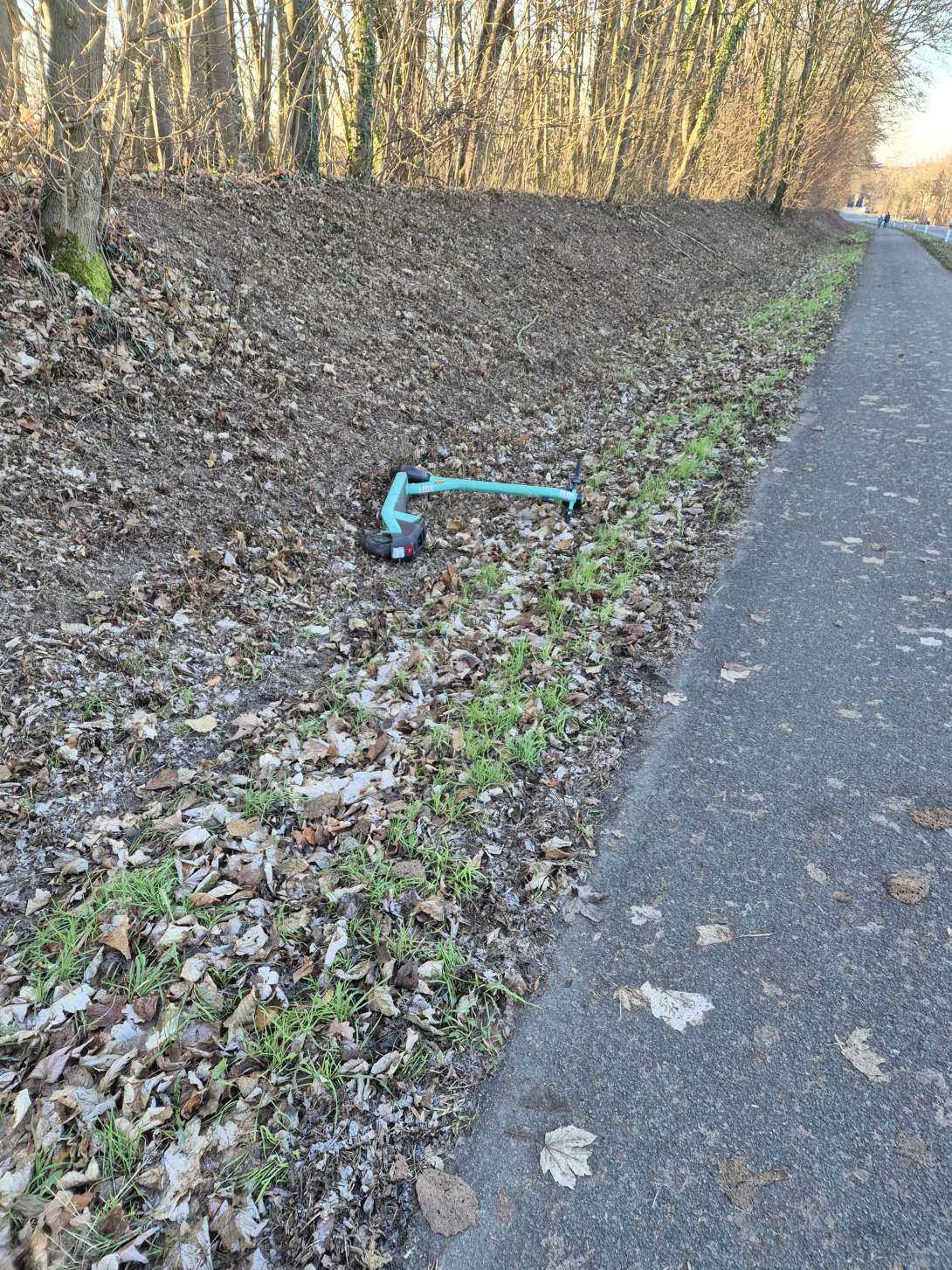 Open311 file from 2026-01-26 08:44:22