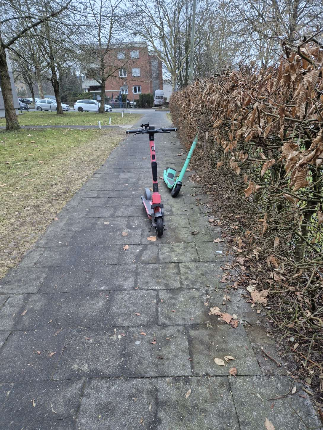 Open311 file from 2026-01-26 06:21:28