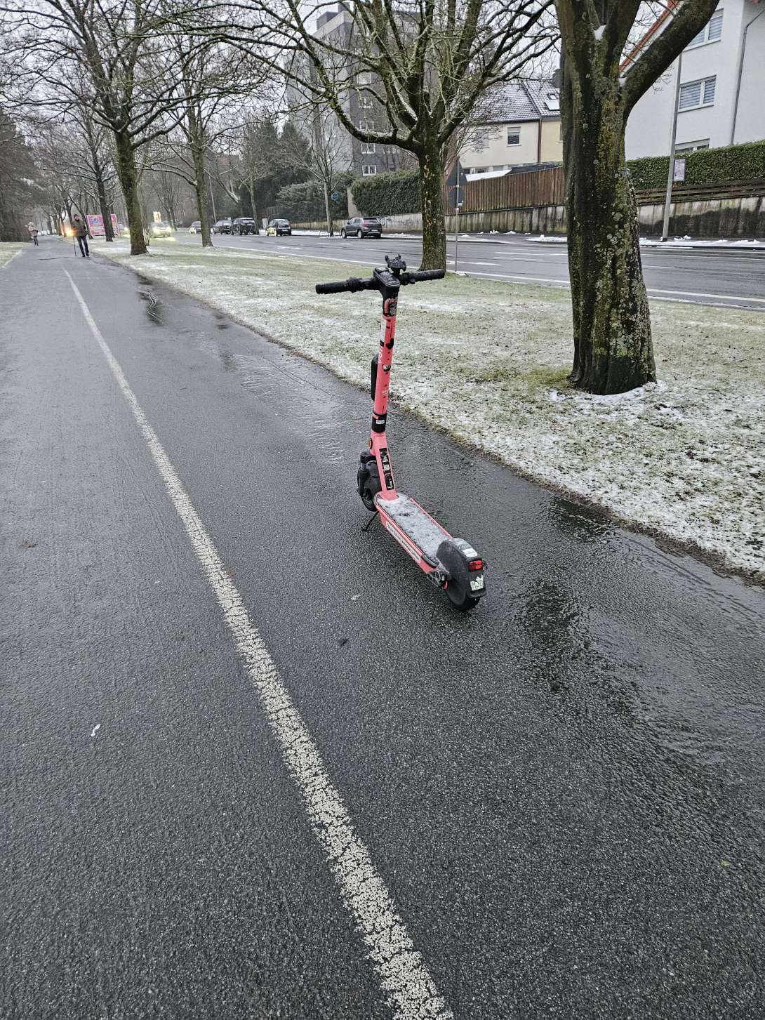 Open311 file from 2026-02-18 10:58:45